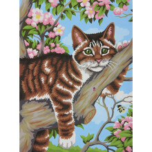 DPW91478 - * Paintsworks Learn to Pa int 9" x 12"- Lazy Cat