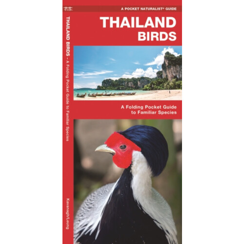 Thailand Birds by James Kavanagh Paperback Book