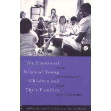 The Emotional Needs of Young Children and Their Families Using Psychoa