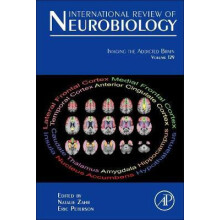 Imaging the Addicted Brain Hardcover Book