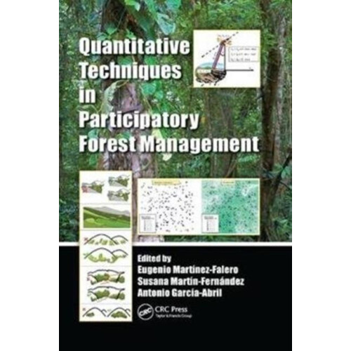 Quantitative Techniques in Participatory Forest Management Paperback B