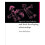 Special Care Babies and their Developing Relationships by Dr Anne Mcfa 1