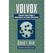 Volvox A Search for the Molecular and Genetic Origins of Multicellular