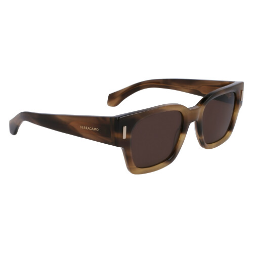 Ferragamo Men's Glasses Ferragamo Sf2010S-319 2