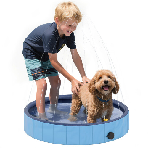 PawHut Piscina para Perro Azul 80 x 80 x 20 cm