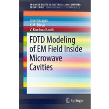 FDTD Modeling of EM Field inside Microwave Cavities by Shiv Narayan Pa