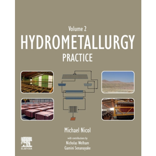 Hydrometallurgy Practice by Michael Nicol Paperback Book