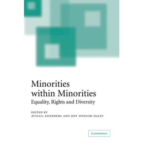Minorities Within Minorities Equality Rights and Diversity Hardcover B