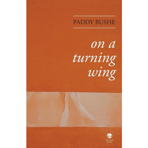 On a Turning Wing by Paddy Bushe Paperback Book