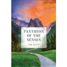 Pantheon of the Senses by Jim Duff Paperback Book