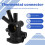 Thermostat Connector 030121117D is Suitable for  A3, A4,  , . 5