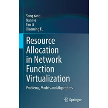 Resource Allocation in Network Function Virtualization Problems Models