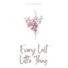 Every Last Little Thing by Liz Terrell Paperback Book