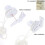 Roller Blind Controller, Roller Blind Spare Parts, Roller Blind Replacement Parts 2