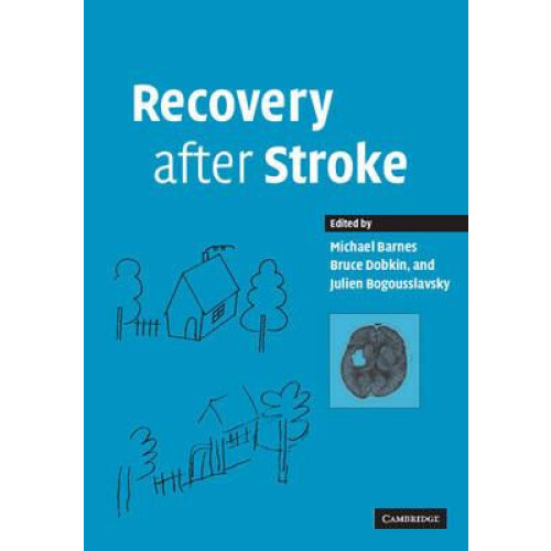 Recovery After Stroke Paperback Book