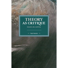 Theory as Critique Essays on Capital by Paul Mattick Paperback Book