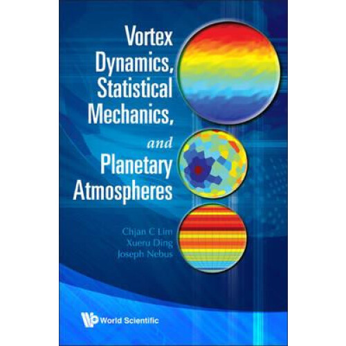 VORTEX DYNAMICS STATISTICAL MECHANICS.. by LIM CHJAN C Paperback Book