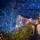 33FT100LED Φωτάκια Νεράιδας με Μπαταρία, Ασημένια Αδιάβροχα Φωτάκια σε Κορδόνι για 6