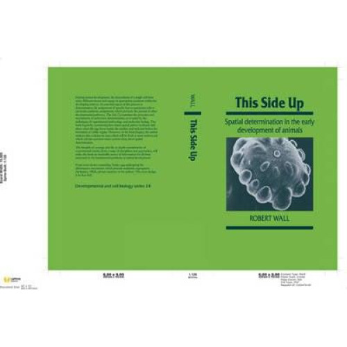 This Side Up by Robert Wall Hardcover Book