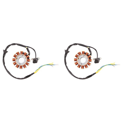 2X Coil 12 Pole Stator  Coil Ignition Stator for GY6 125Cc 150Cc