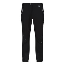 (36R, Black) Regatta Mens Mountain Walking Trousers