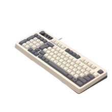Gaming and Office Keyboard with ARGB Lights 98Keys USB Keyboard Ergonomic White gray