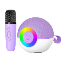 -Karaoke-Maschinenlautsprecher, Tragbares -Mikrofon-Songspielzeug mit LED-Licht, Weihnachts- und Geburtstagsgeschenk für Kinder,D