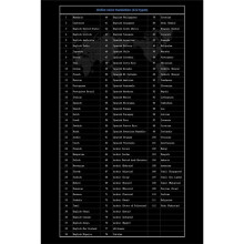 Scan-Übersetzungsstift, Echtzeit-Sprachübersetzer, Intelligente Offline-Übersetzung, 112 Sprachen, Textscan, Grau