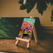 100 Pieces of 5 Inch Wooden Easel. Business Cards, Display Photos, Small Canvases, Classroom DIY Arts and Crafts