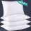 Stripe Pillows Luxury Soft & Smooth Bed Pillows Breathable, Lightweight & Durable 2