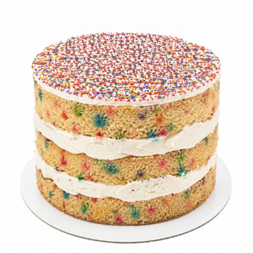 Dot Bento Cake - 5 inch