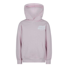 (11-12 Years, Pink) Jack Wills Childrens/Kids Back Print Logo Hoodie