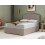 Sealy (Single) Sealy Mellbreak Ortho Plus Mattress 1