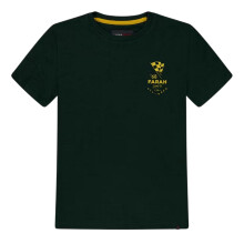 (14-15 Years, Green) Farah Childrens/Kids Lettering Logo T-Shirt