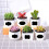 300PCS Chalkboard Labels Erasable Reusable Rectangle Blackboard Stickers Irregularly Shaped Name Tags 2