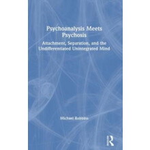 Psychoanalysis Meets Psychosis Attachment Separation and the Undiffere