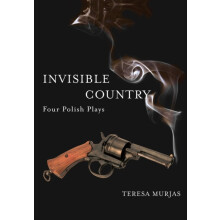 Invisible Country Four Polish Plays Paperback Book