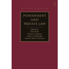Punishment and Private Law Hardcover Book