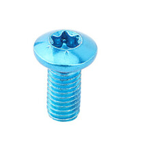12pcs/Box Mountain Bike Disc Brake Rotor Bolts T25 Alloy Steel Disc Brake Screws Blue