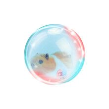 Hamster Ball For Cats Hamster Electric Toy Electronic Pet Toy Scrolled Walk Yellow hamster
