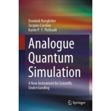 Analogue Quantum Simulation A New Instrument for Scientific Understand