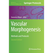 Vascular Morphogenesis Methods and Protocols Hardcover Book