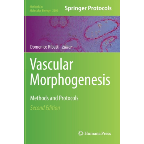 Vascular Morphogenesis Methods and Protocols Hardcover Book
