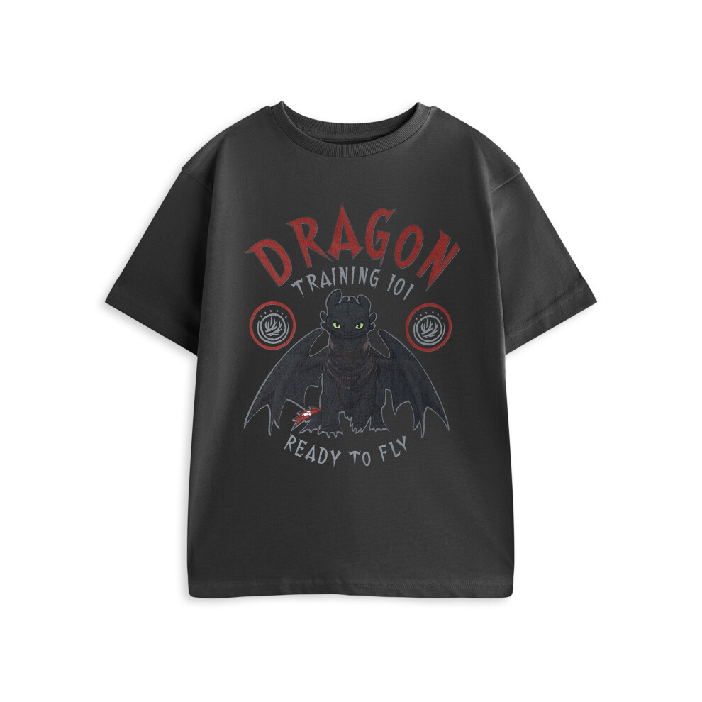 How To Train Your Dragon (7-8 Years) Short Sleeved T-Shirt (Boys Grey)