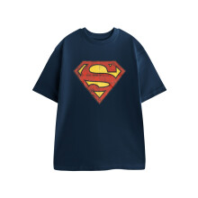(XXX-Large) DC Comics Superman Short Sleeved T-Shirt (Mens Blue)
