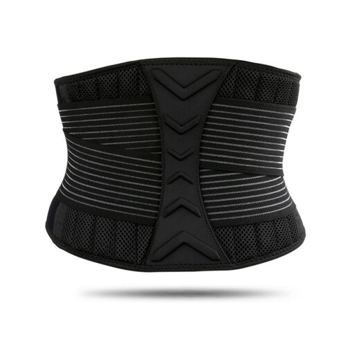 Back Support,Back Brace,Lumbar Support Belt Adjustable Waist Trainer Belt Gift M