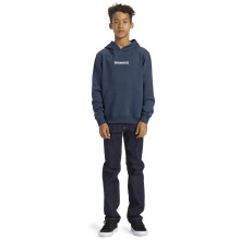 (12Y, Vintage Indigo) DC Shoes Kids Baseline Pullover Hoodie  Casual Skate Hoody