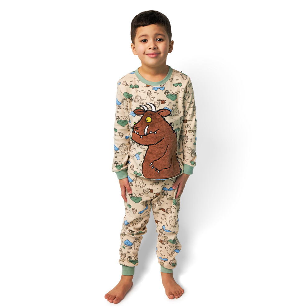 Gruffalo & Friends (5-6 Years) Long Sleeve Long Leg Pyjama Set (Unisex Kids Multicoloured)