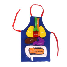 Brain Game Learning Props Apron DIY Assembly 3D Anatomy Organ Apron Kids Apron