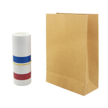 Appearing Big Straw from Paper Bag Magic Tricks for Teens & Adults Beginner